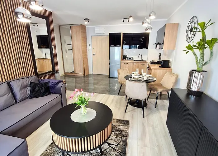 Luksusowy Apartament Ksiecia Witolda 53